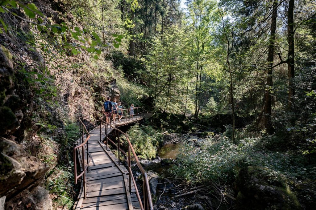Ein Erlebnis: der Heimatpfads Hochschwarzwald auf dem wir nicht nur wie auf diesem Bild durch wilde Natur sondern auch zu alten Mühlen und historischen Anlagen gelangen. 